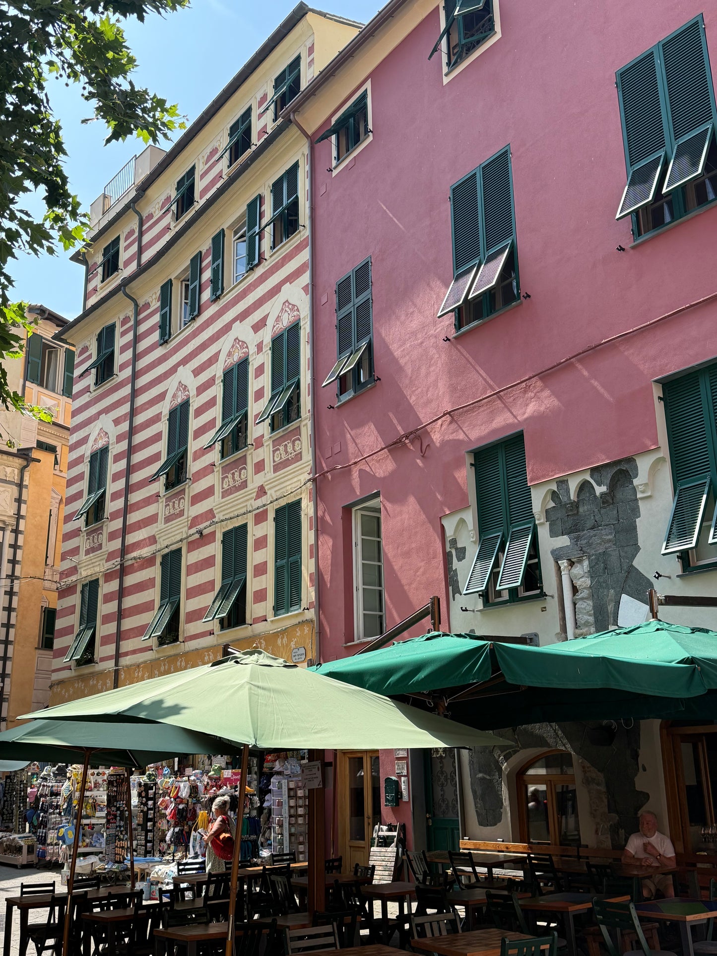 Bella in Rosa